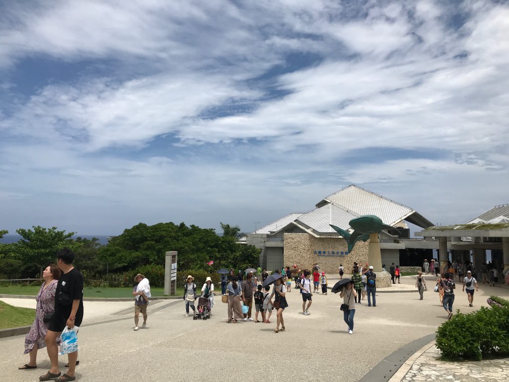 ポーセラーツ　銀座　メルシー銀座　美ら海水族館　沖縄 (2)